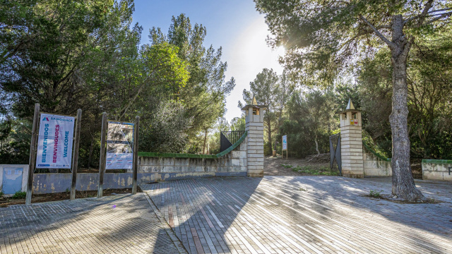 Entrada y salida