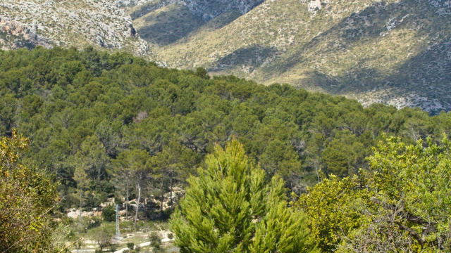 RB1 Vuelta a Calvià