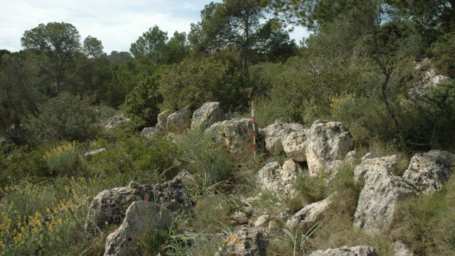 Turó de ses Abelles