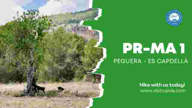 Ruta Senderista 1 