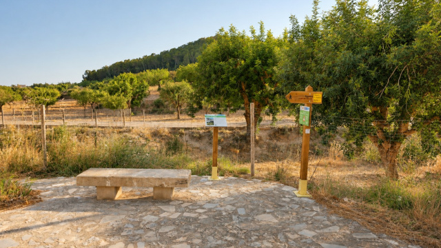 Torrente de El Gorg (R1 - 014)