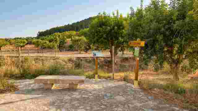 Torrente de El Gorg (R1 - 014)