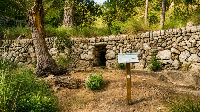 Fuente del Obis