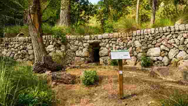 Fuente del Obis