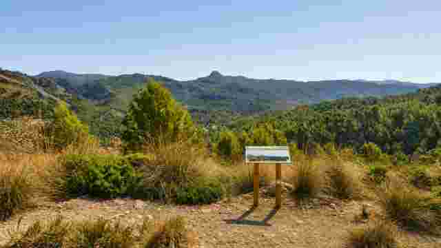Vista panoràmica Sa Vinya 